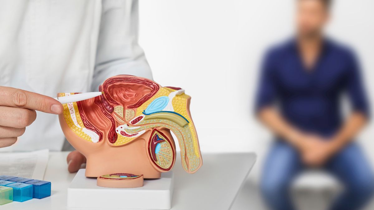 urología Torrejón de Ardoz
